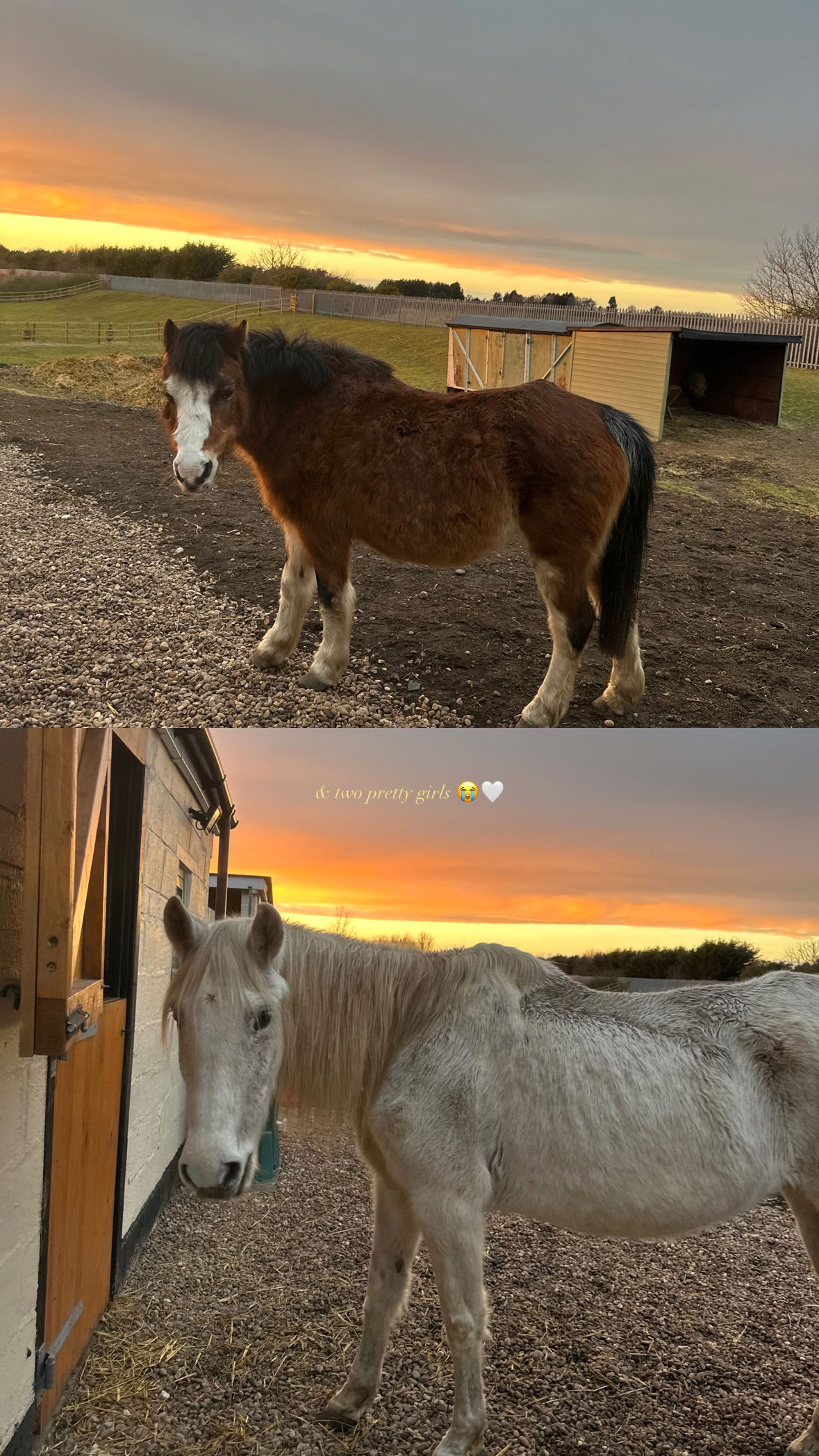 victoriaturnerr instagram image archive image