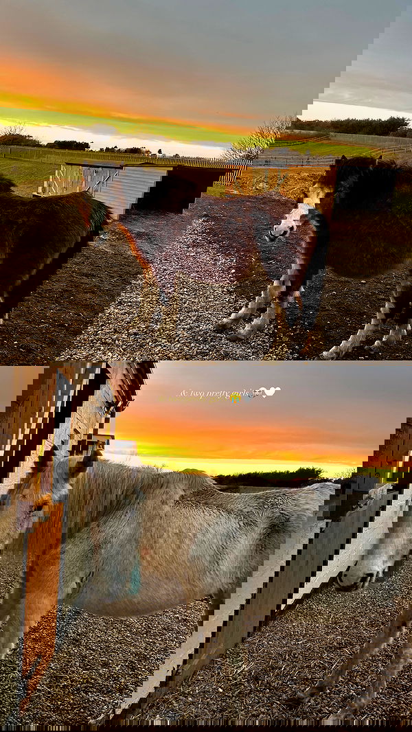 victoriaturnerr image ~ Altpins