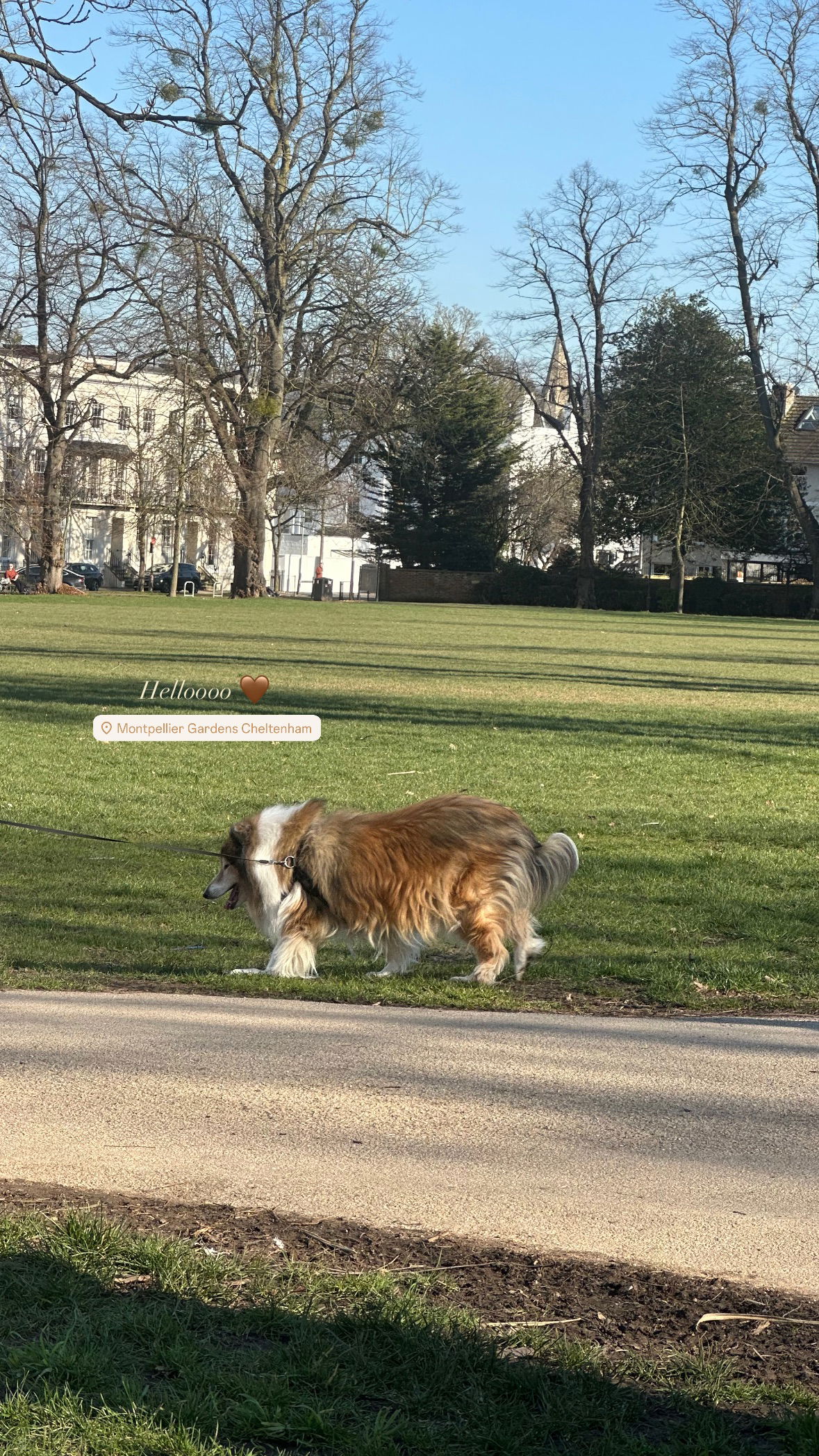 victoriaturnerr instagram image archive image