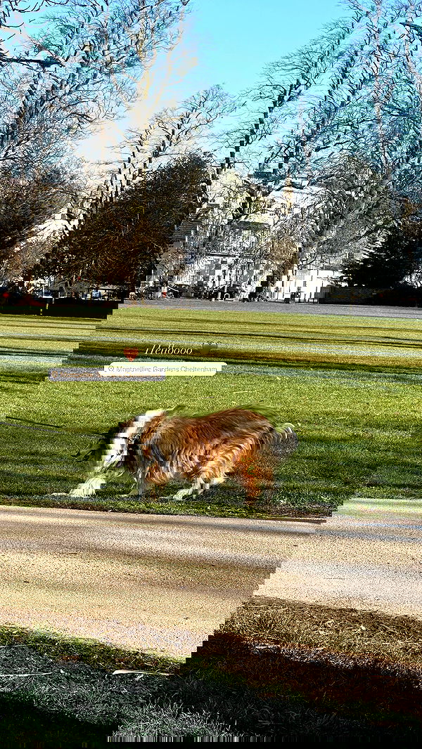 victoriaturnerr image ~ Altpins