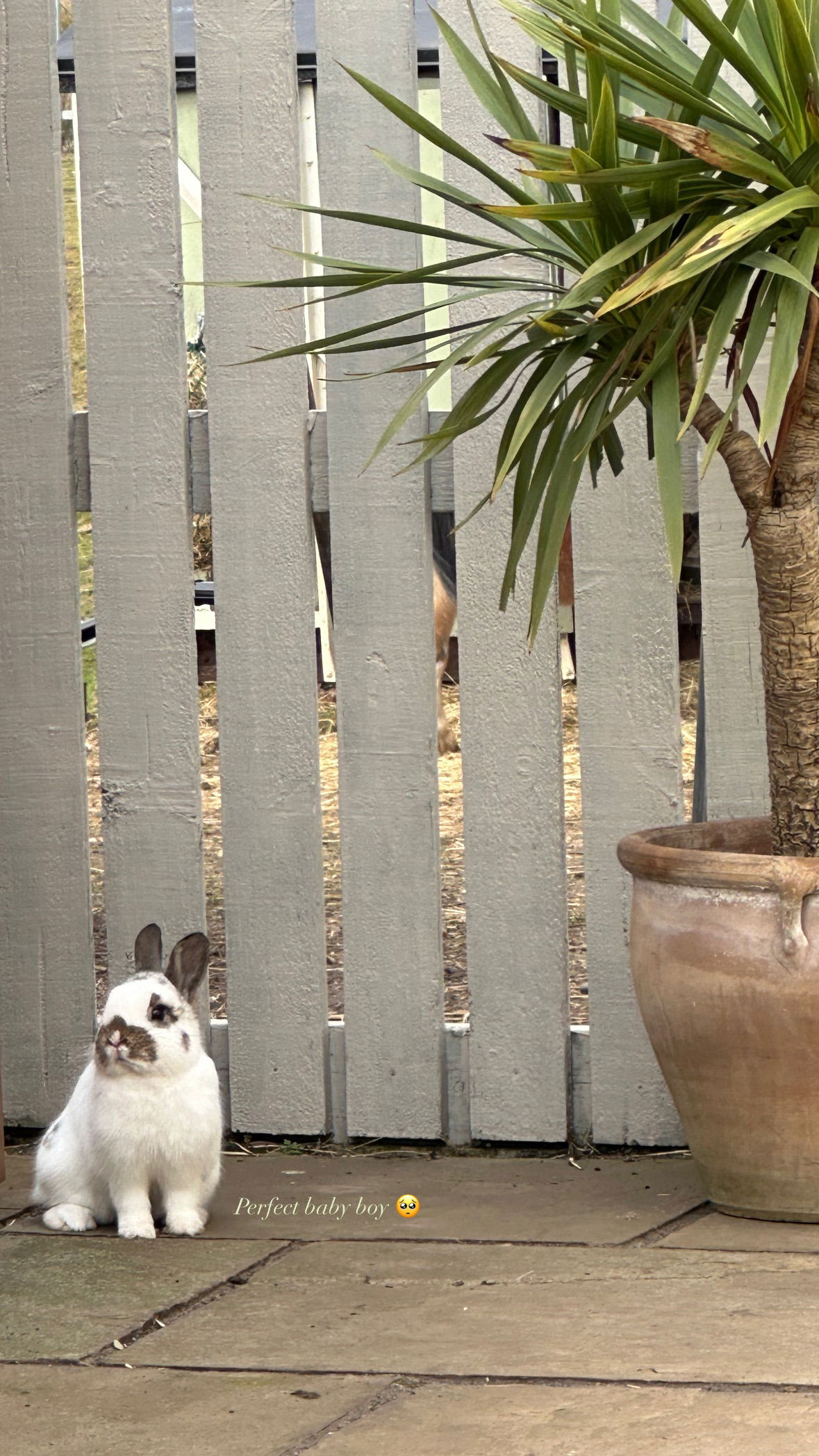 victoriaturnerr instagram image archive image