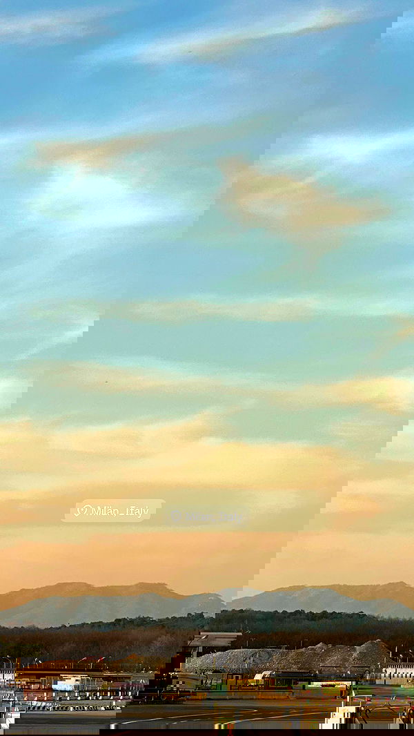 victoriaturnerr image ~ Altpins