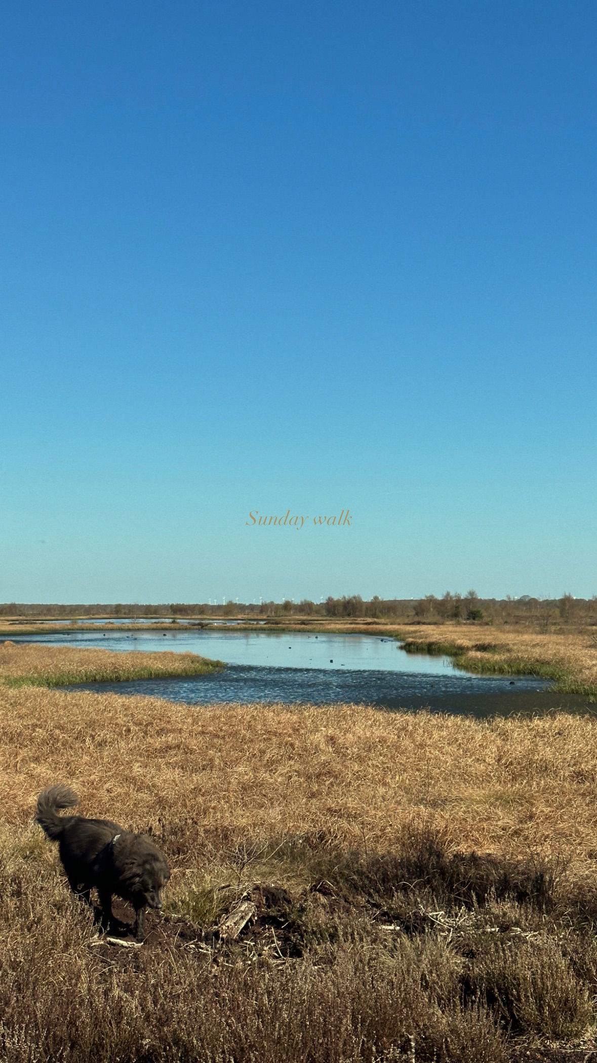 victoriaturnerr instagram image archive image