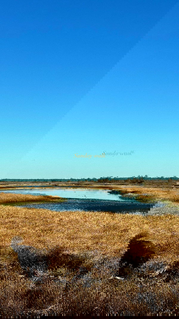 victoriaturnerr image ~ Altpins