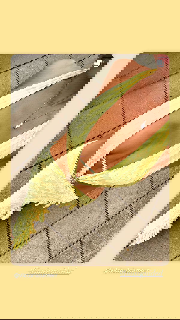 victoriaturnerr image ~ Altpins