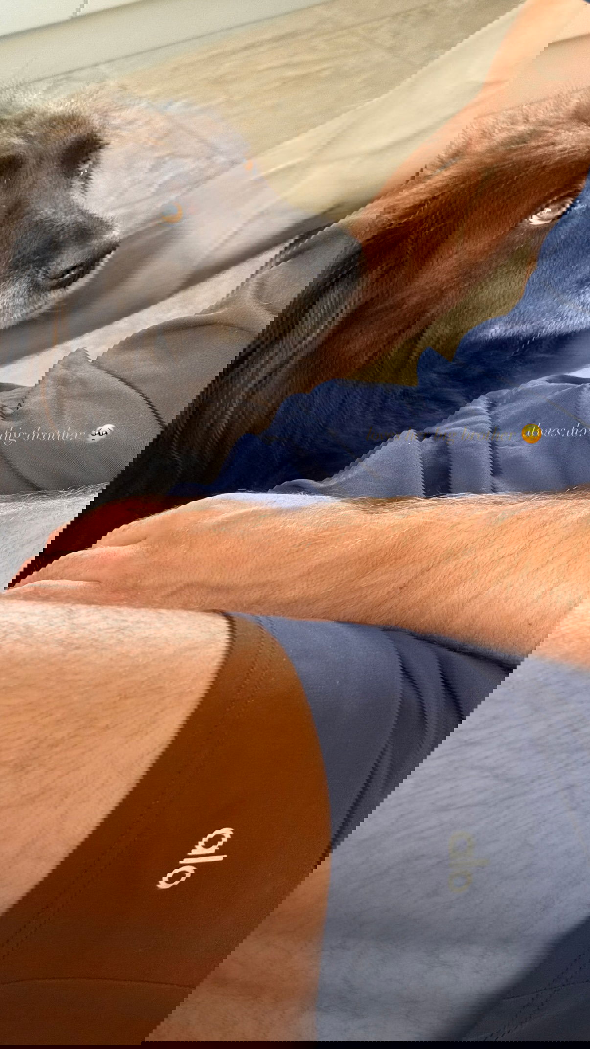 victoriaturnerr instagram image archive image