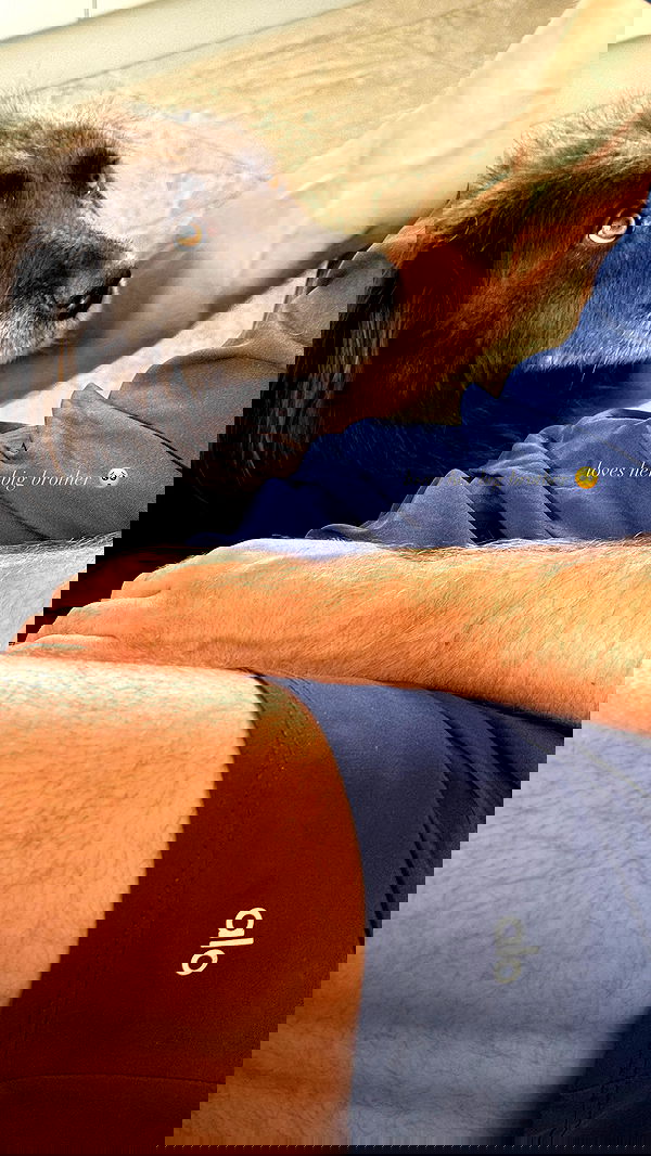 victoriaturnerr image ~ Altpins