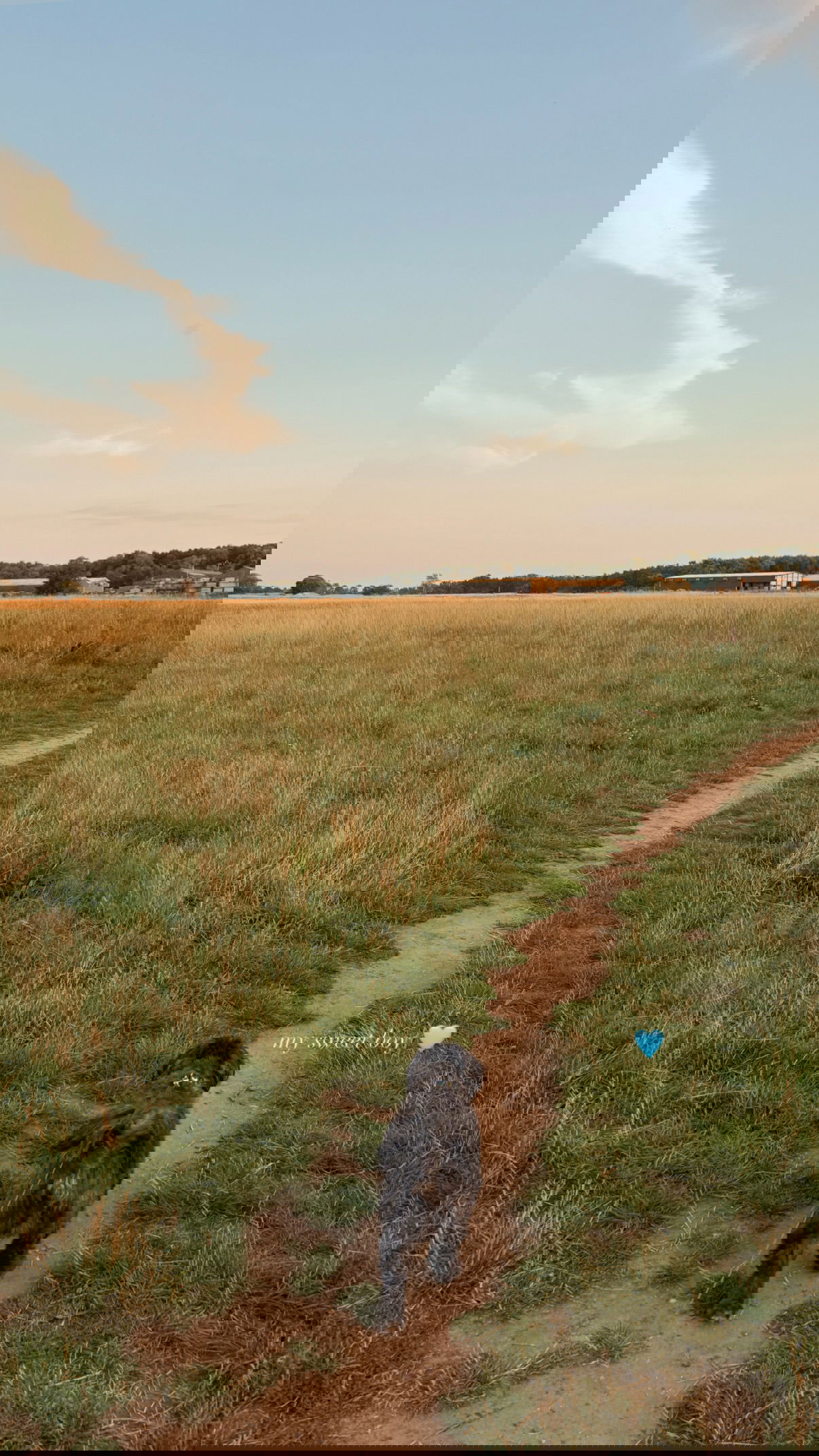 victoriaturnerr instagram image archive image