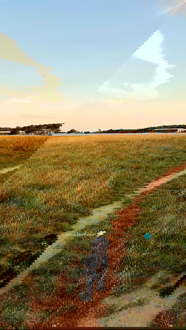 victoriaturnerr image ~ Altpins