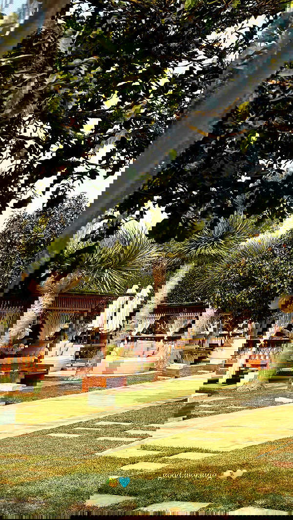 victoriaturnerr image ~ Altpins