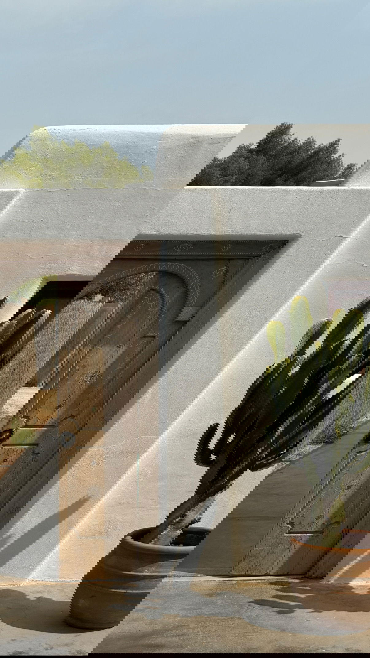 victoriaturnerr instagram image archive image