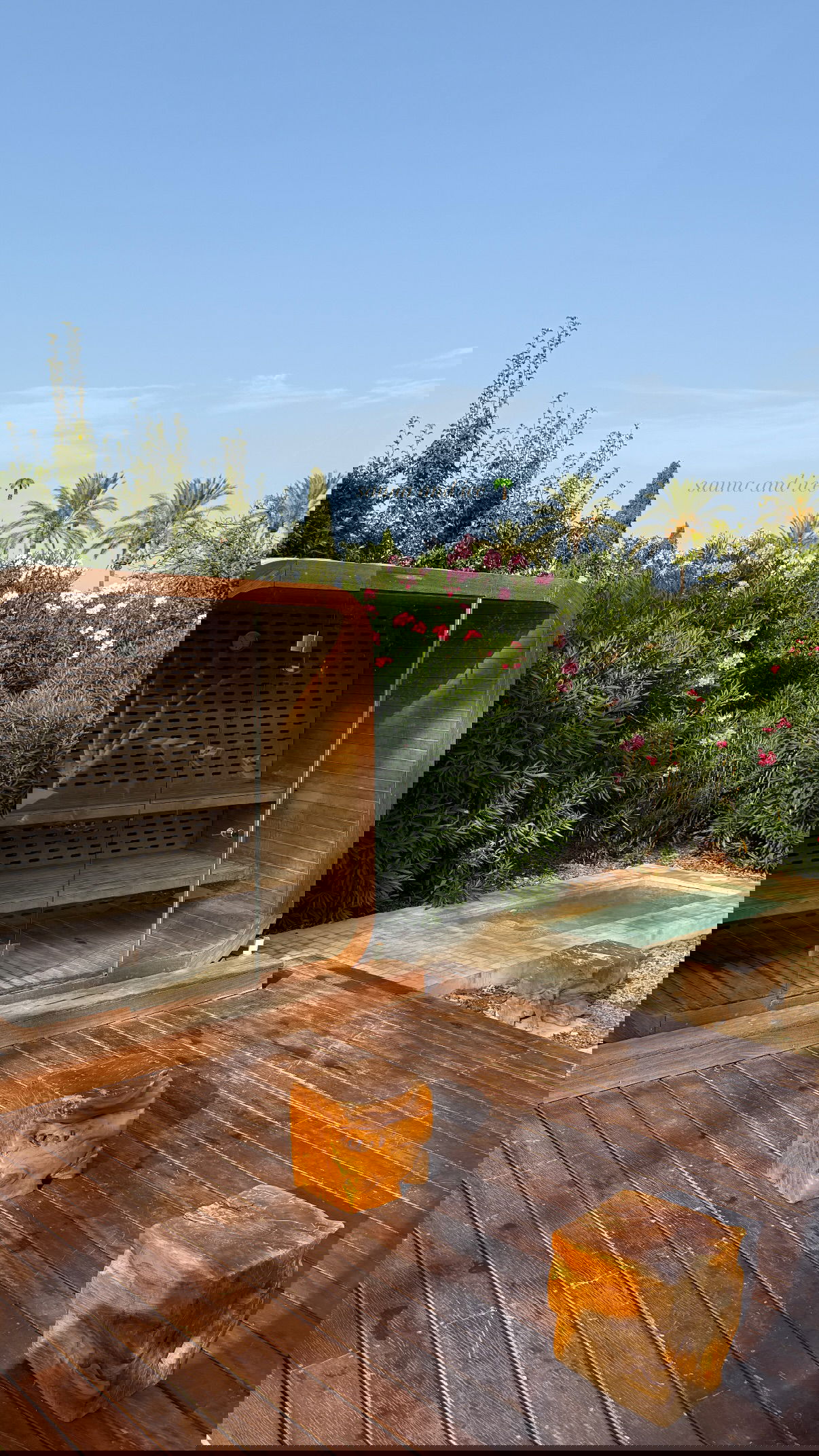 victoriaturnerr instagram image archive image