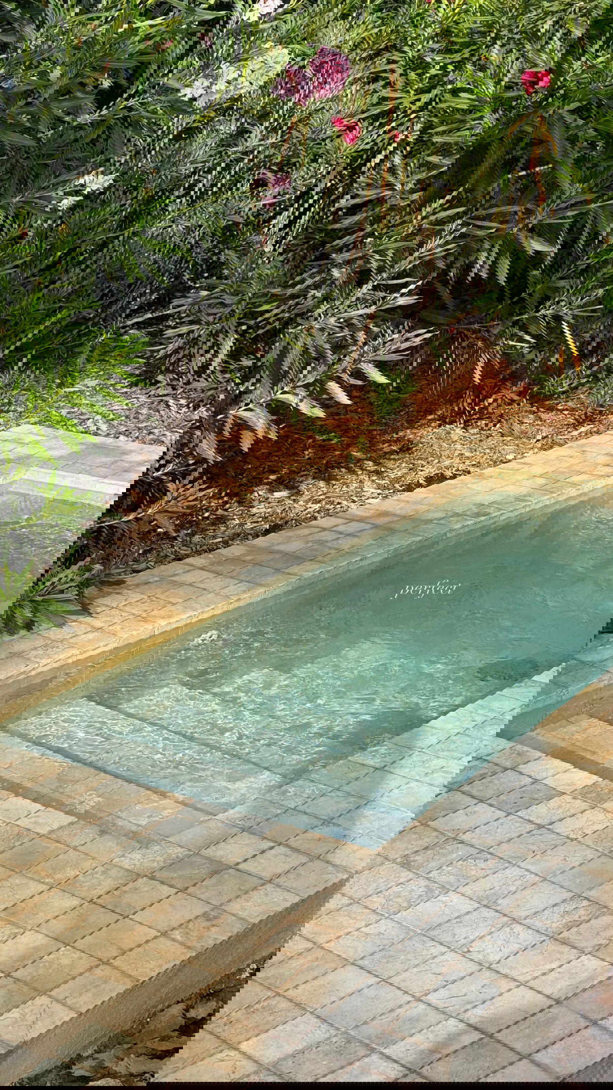 victoriaturnerr instagram image archive image