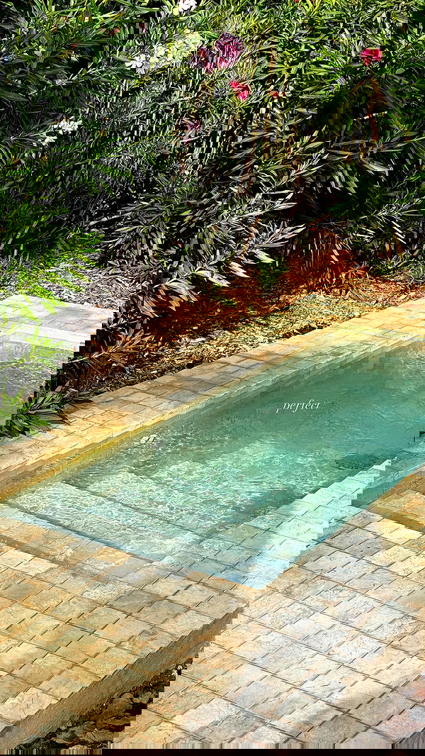 victoriaturnerr image ~ Altpins