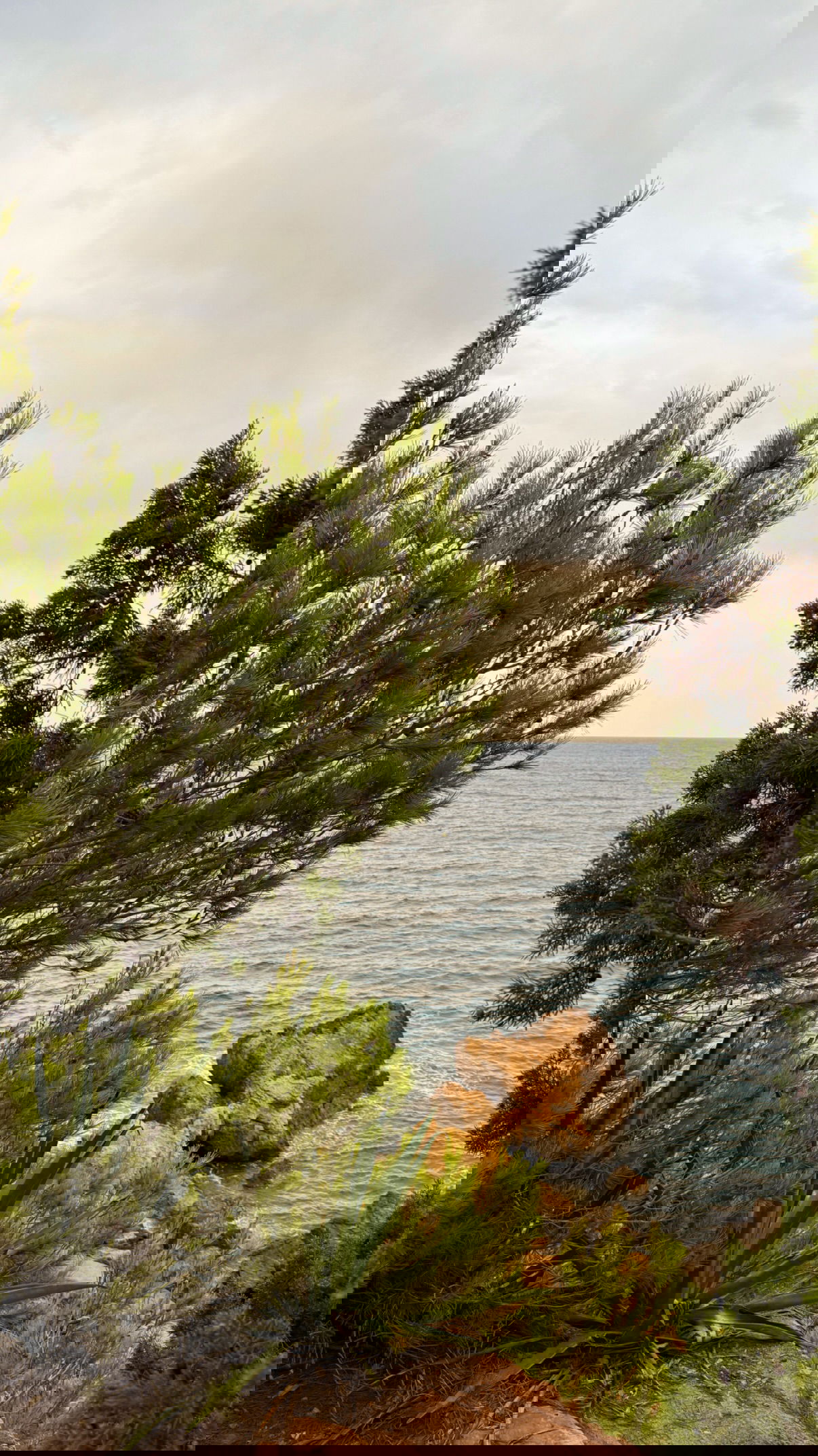 victoriaturnerr instagram image archive image