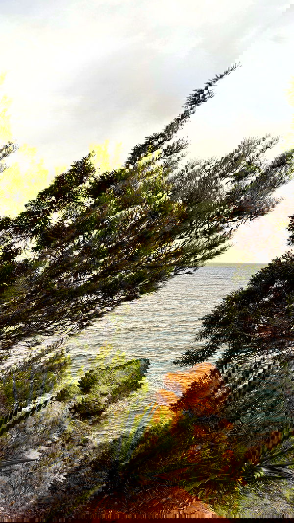 victoriaturnerr image ~ Altpins