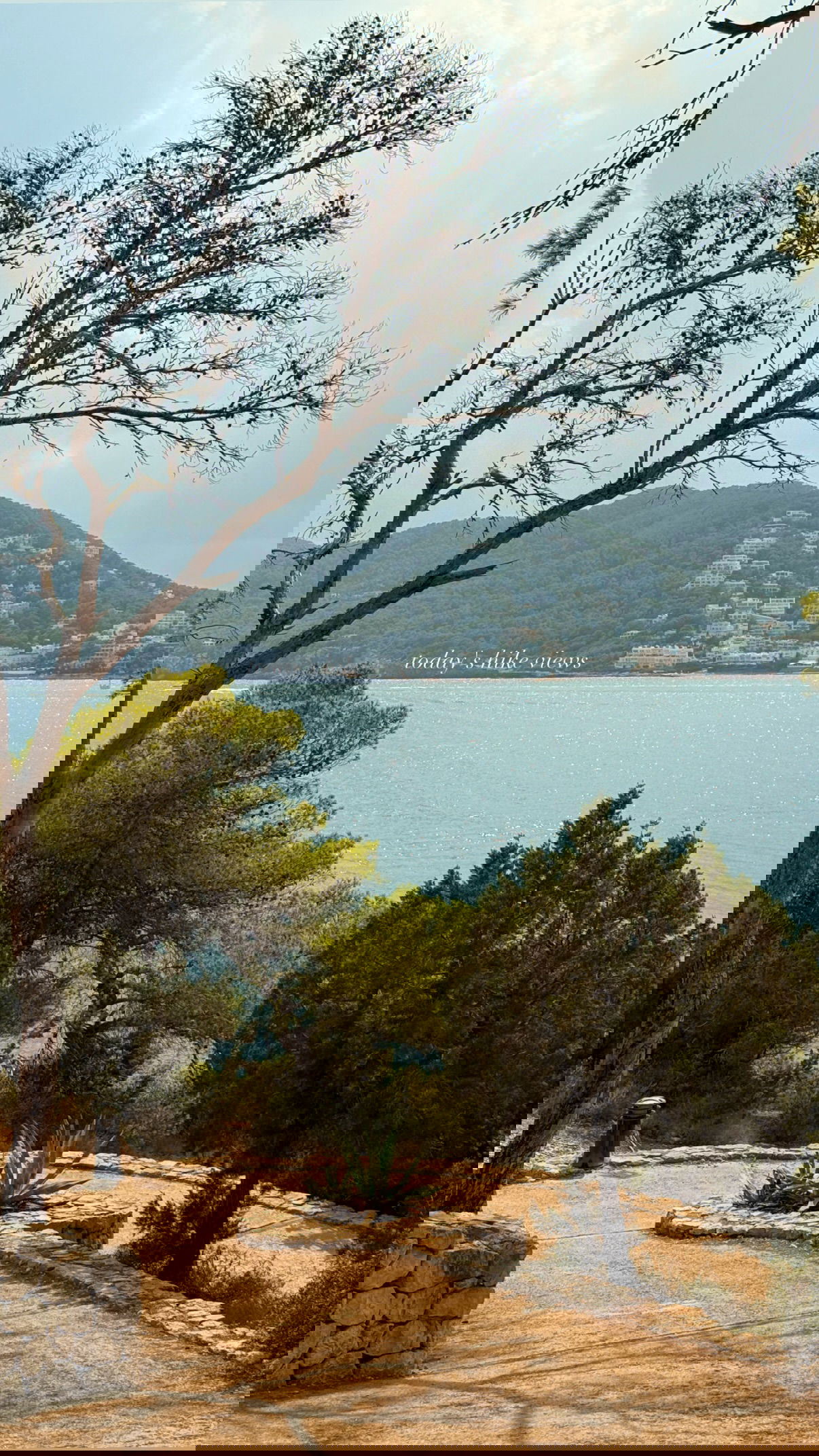 victoriaturnerr instagram image archive image