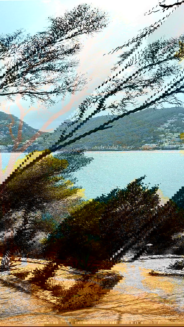 victoriaturnerr image ~ Altpins