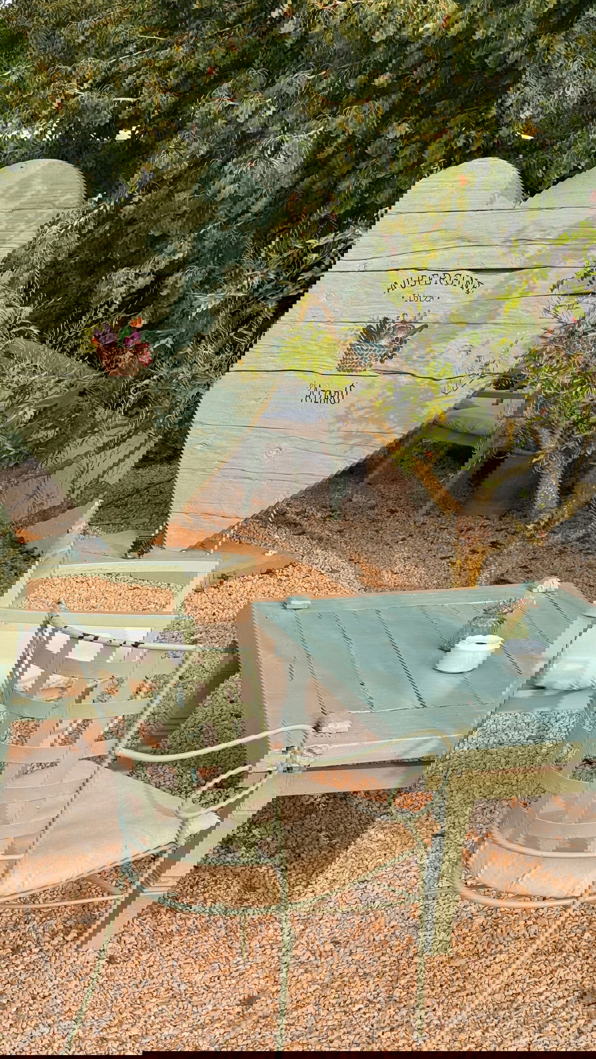 victoriaturnerr instagram image archive image