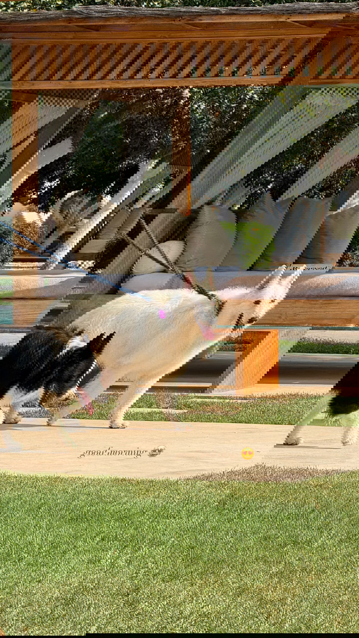 victoriaturnerr instagram image archive image