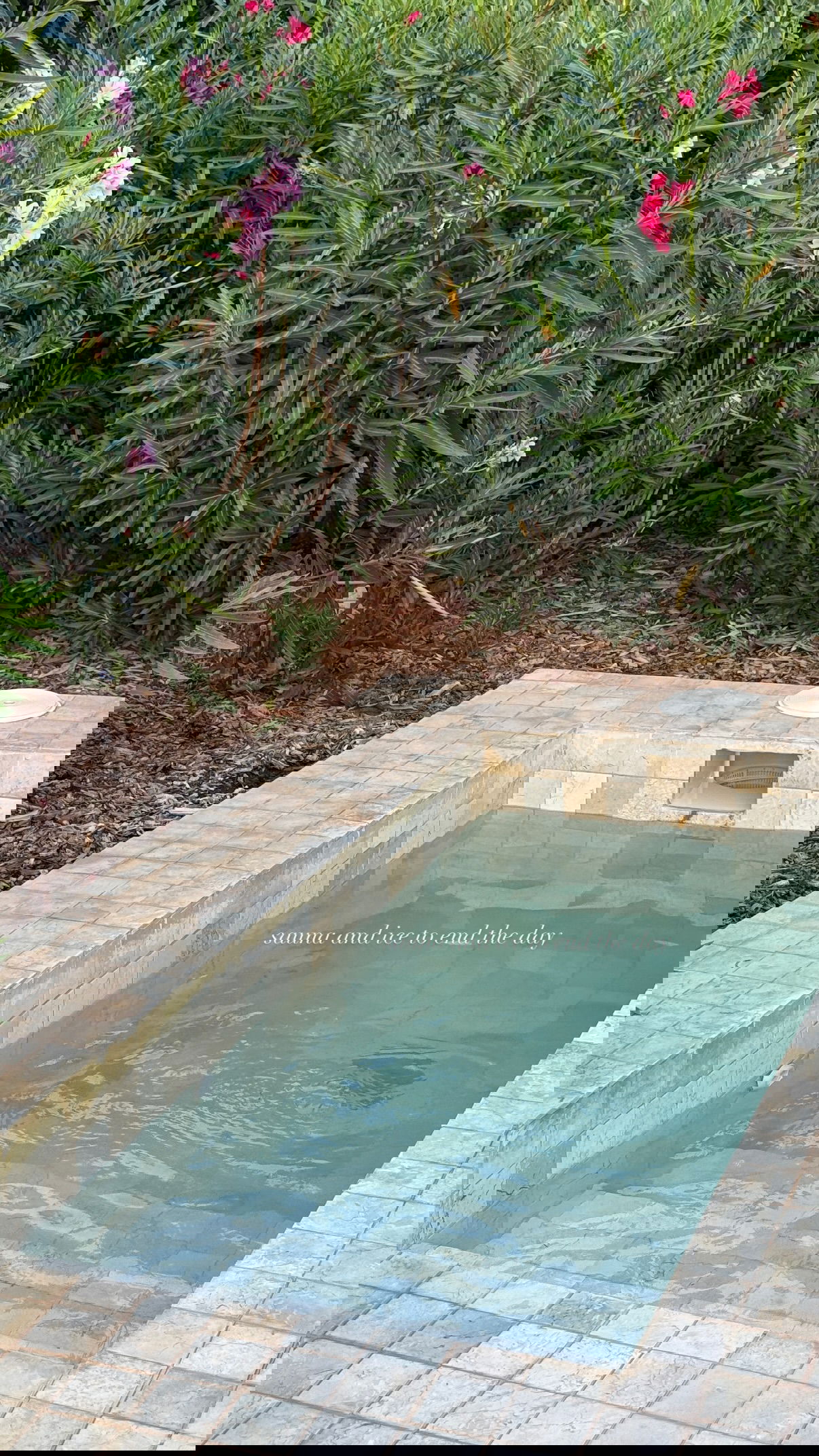 victoriaturnerr instagram image archive image