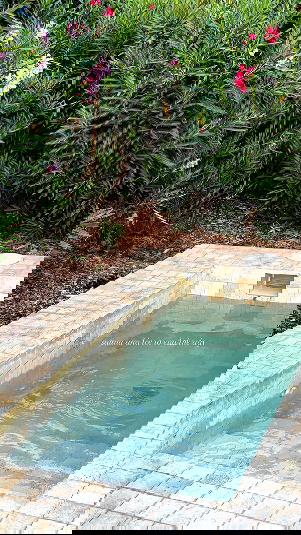 victoriaturnerr image ~ Altpins