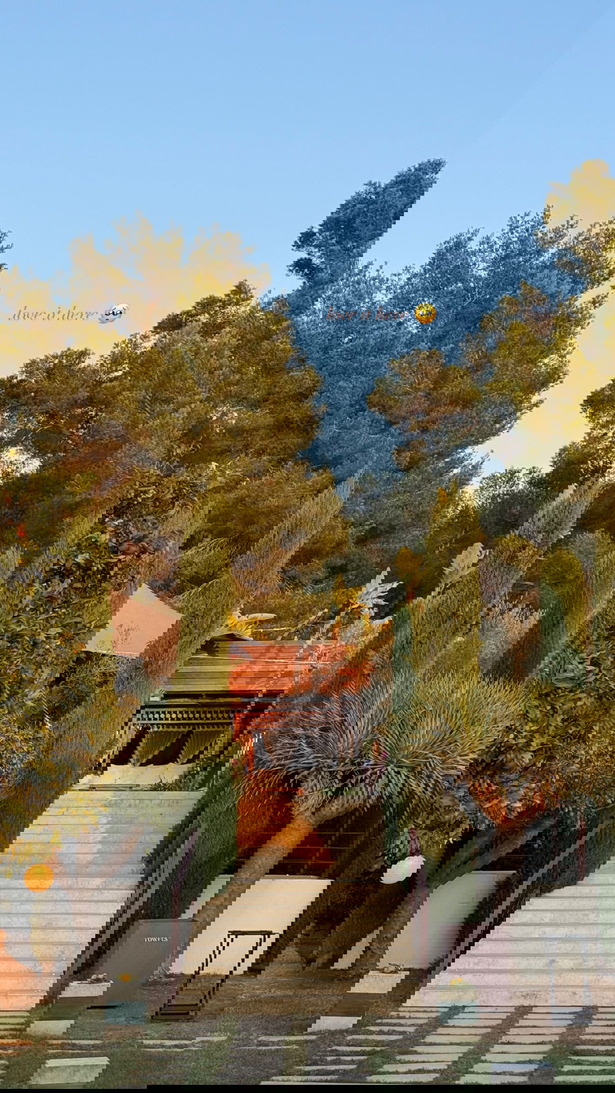 victoriaturnerr instagram image archive image