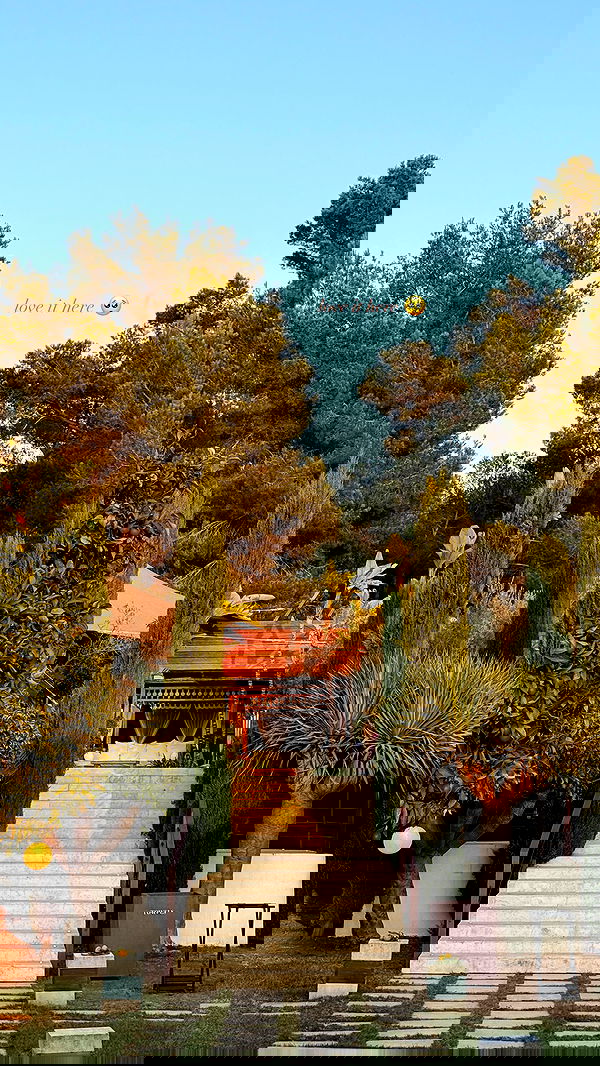 victoriaturnerr image ~ Altpins