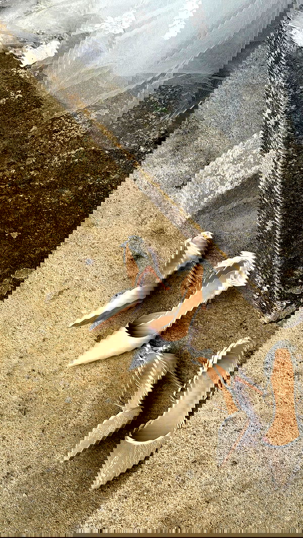 victoriaturnerr image ~ Altpins