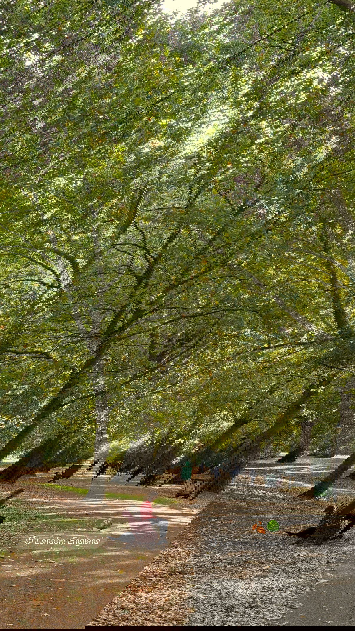 victoriaturnerr instagram image archive image