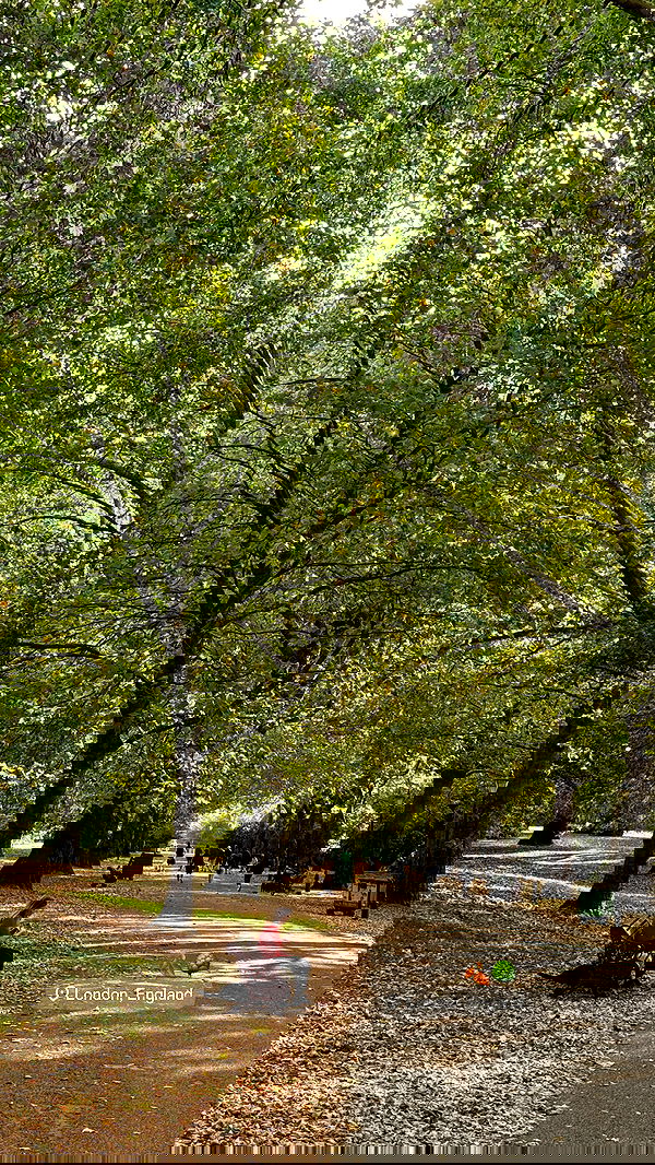 victoriaturnerr image ~ Altpins