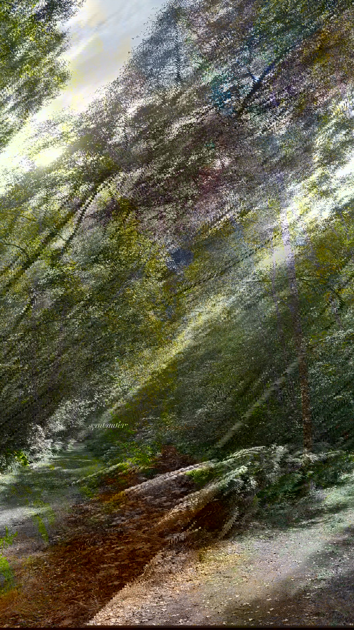 victoriaturnerr instagram image archive image