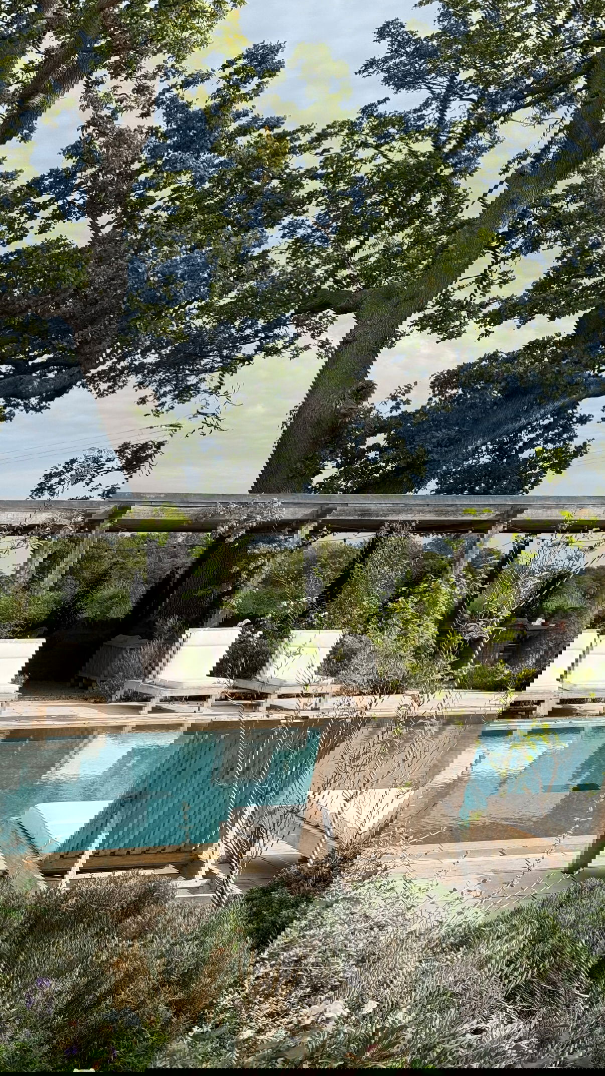 victoriaturnerr instagram image archive image