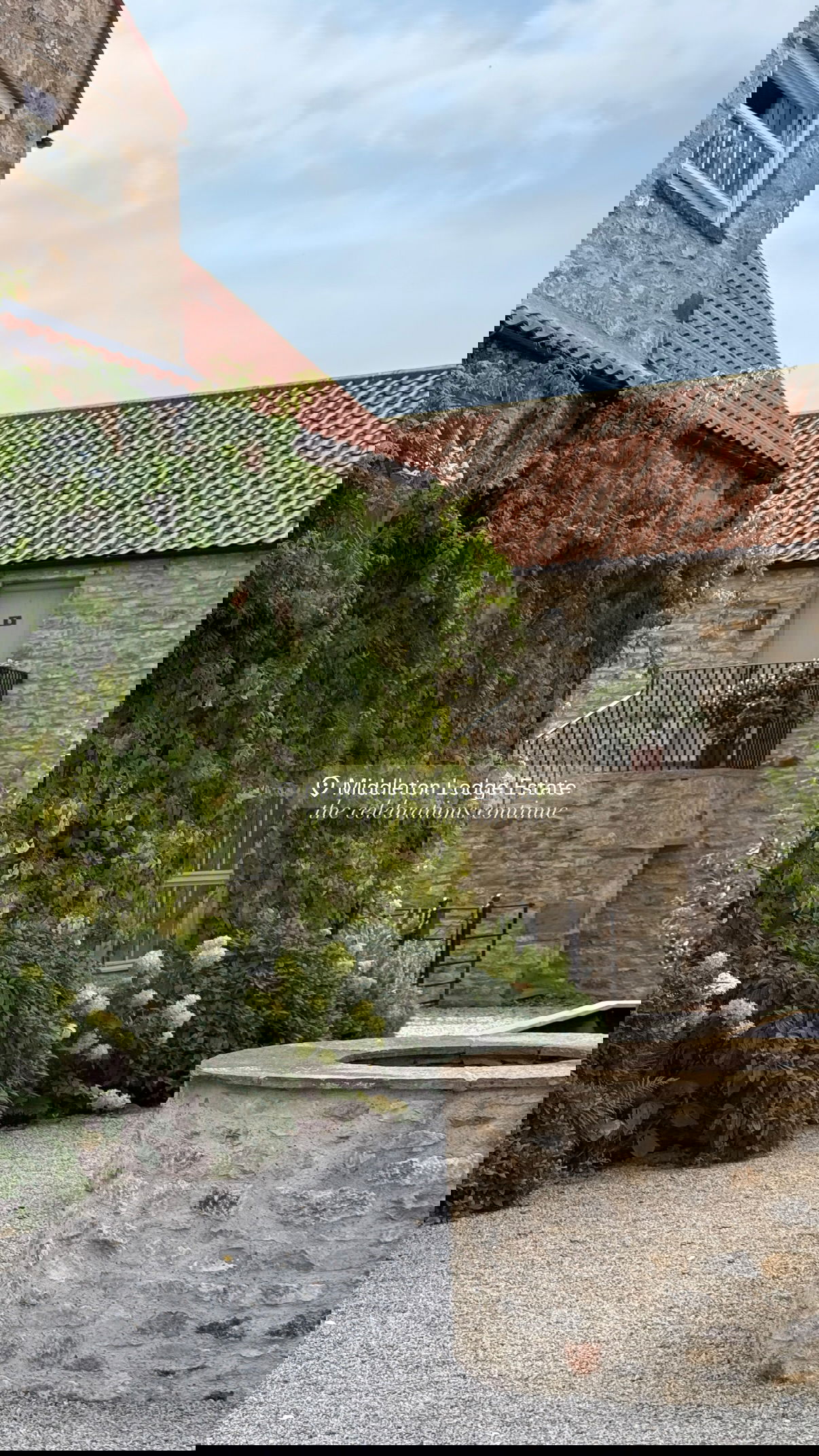 victoriaturnerr instagram image archive image