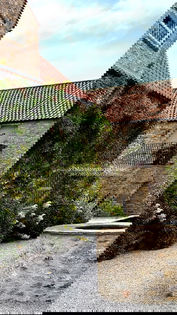 victoriaturnerr image ~ Altpins