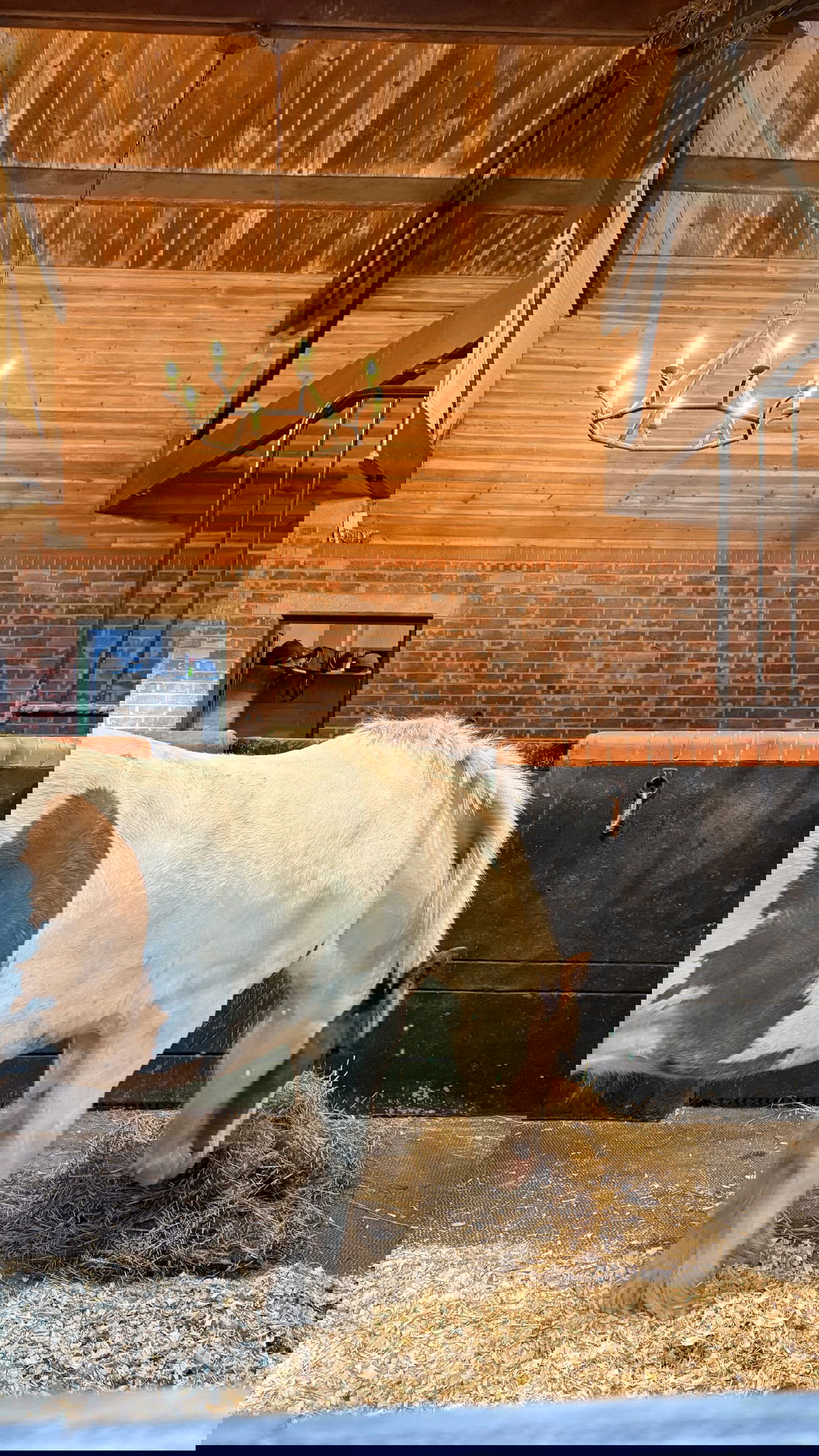 victoriaturnerr instagram image archive image