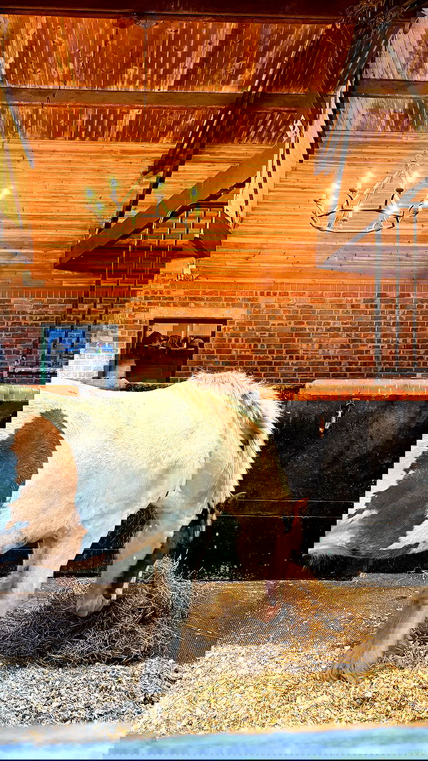 victoriaturnerr image ~ Altpins