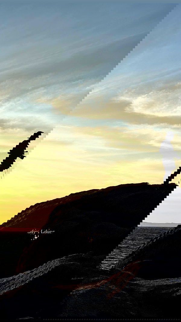 victoriaturnerr image ~ Altpins