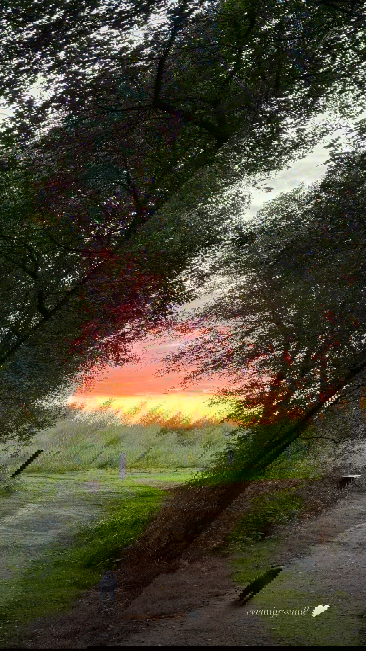 victoriaturnerr instagram image archive image