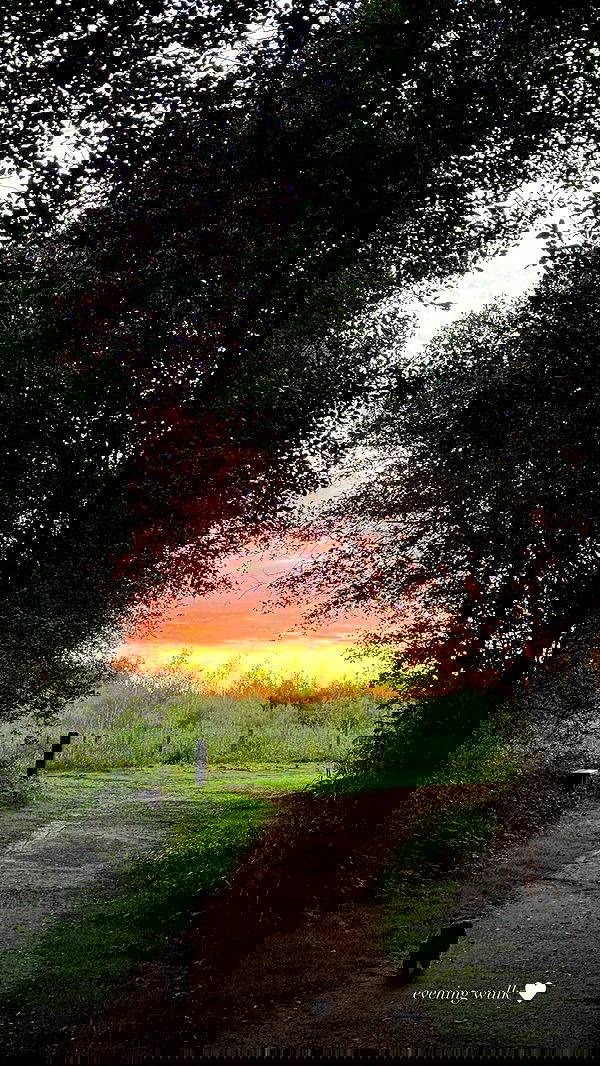 victoriaturnerr image ~ Altpins