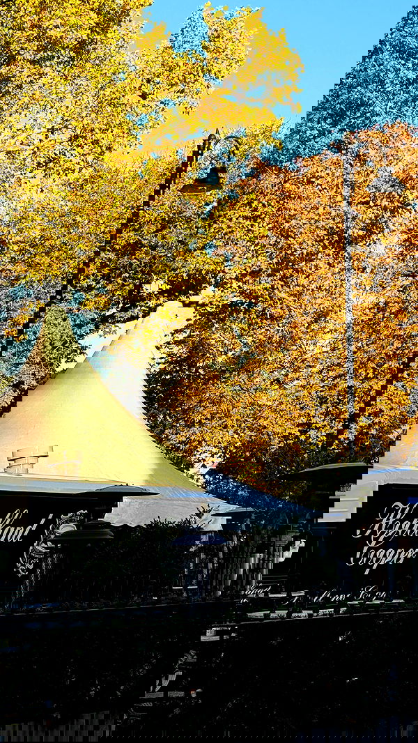 victoriaturnerr image ~ Altpins