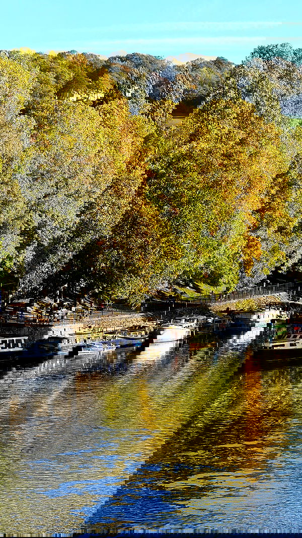 victoriaturnerr image ~ Altpins