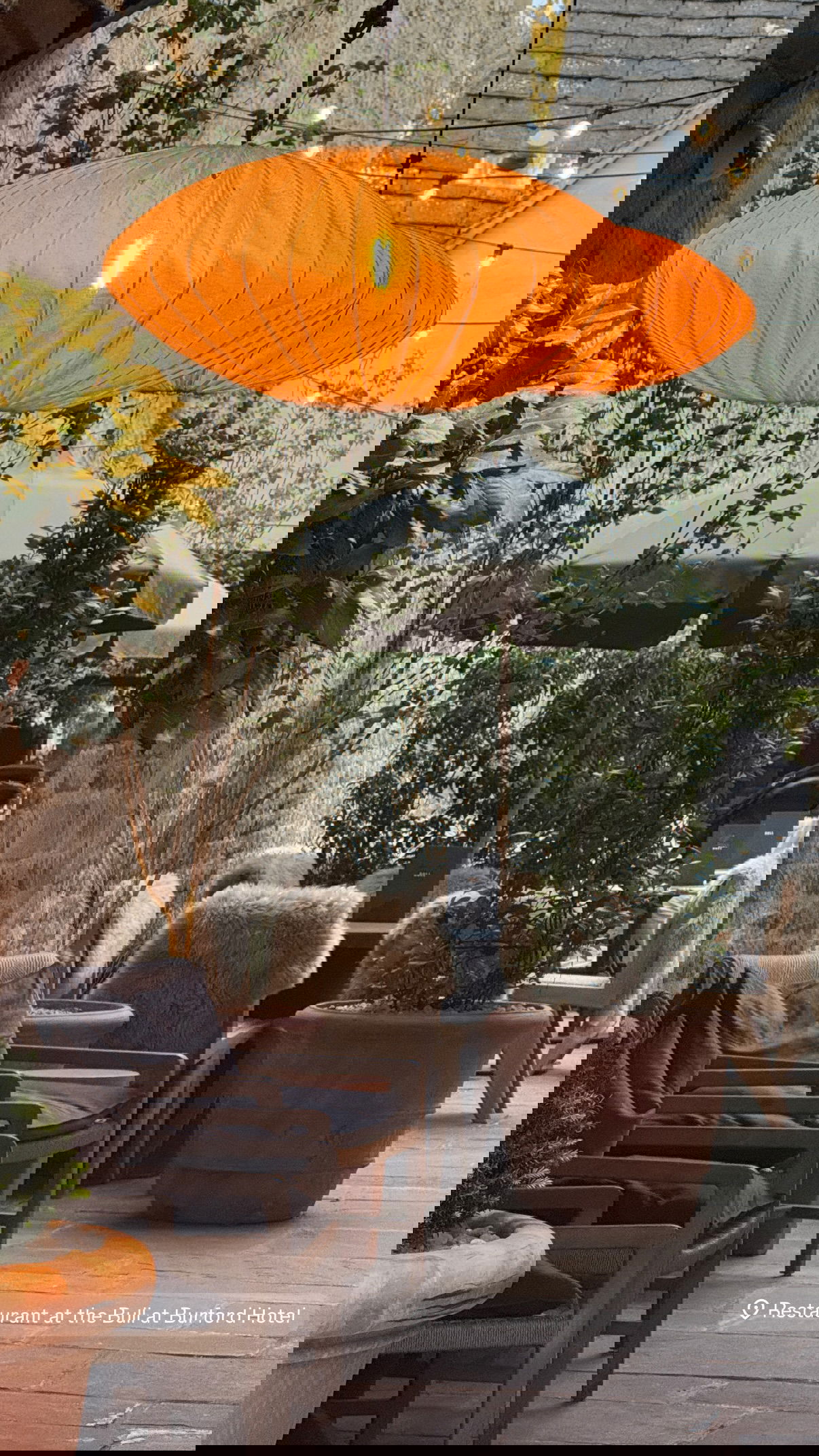 victoriaturnerr instagram image archive image