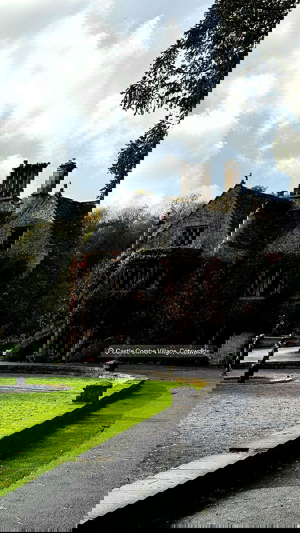 victoriaturnerr image ~ Altpins