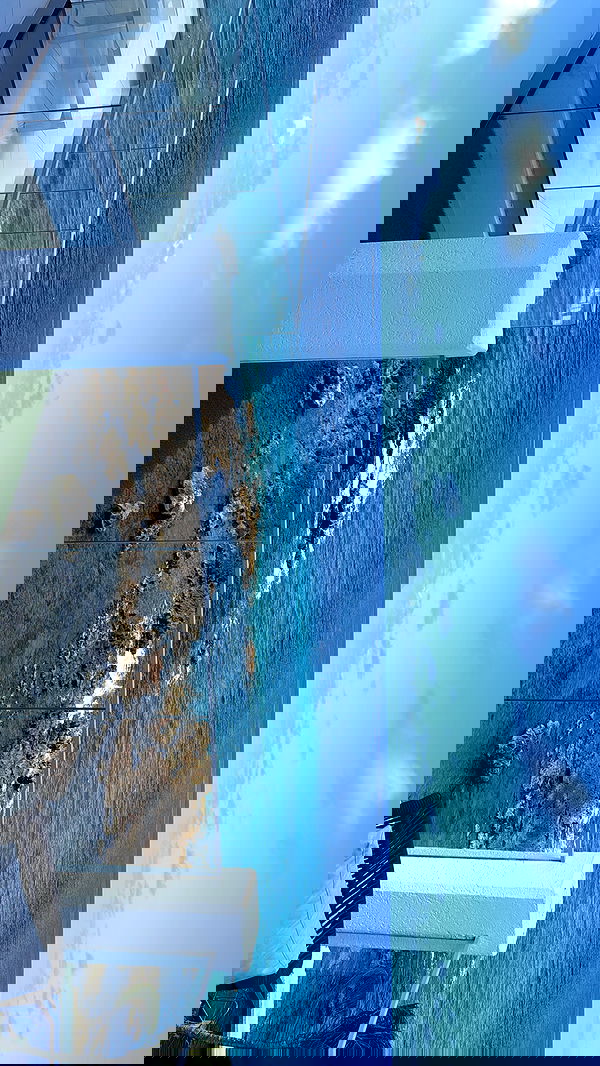 viezery viezery archive image