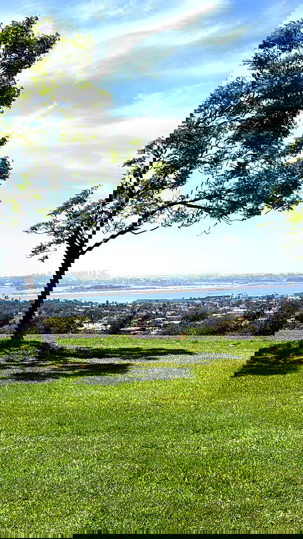 viezery viezery archive image