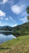 virginia.battiston Altpins Profile Picture