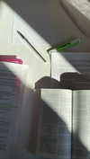 virginia.battiston Altpins Profile Picture