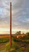virginia.battiston Altpins Profile Picture