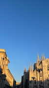 virginia.battiston Altpins Profile Picture